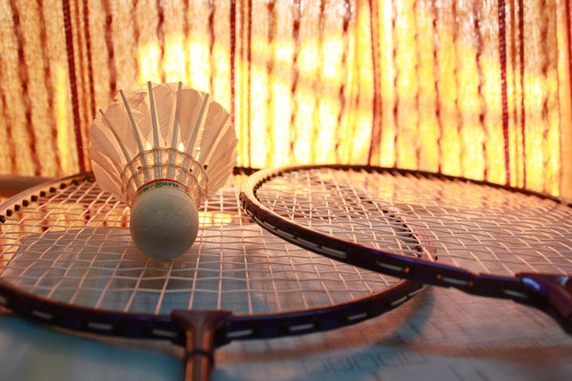 Statistik og tendenser: Sådan har badminton vm-resultaterne udviklet sig
